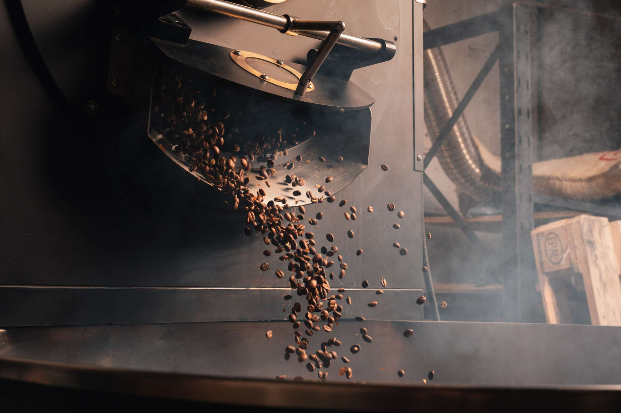 Freshly roasted coffee beans pouring out of the roaster